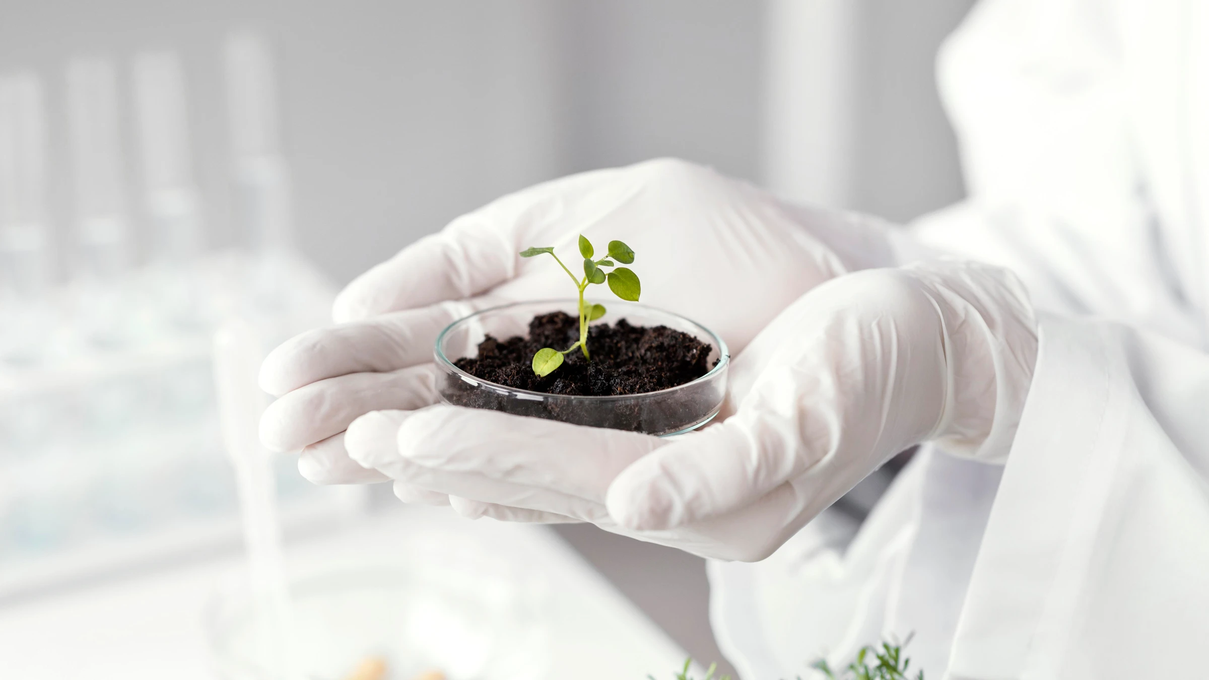 soil testing